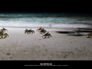 SL_MD_0828_0770_1280