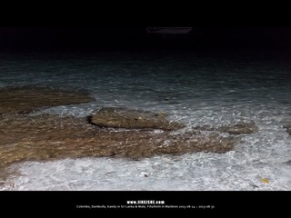 SL_MD_0828_0865_1280