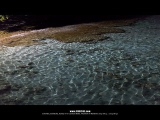 SL_MD_0828_0889_1280