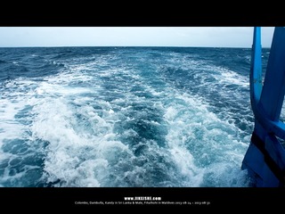SL_MD_0830_0121_1280