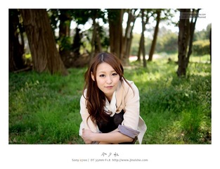 桜が散る時