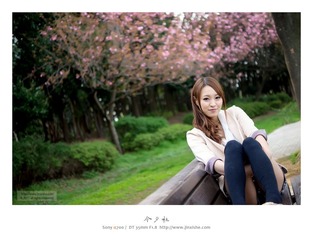桜が散る時