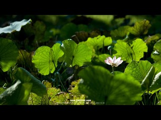 DSC00231_1280.jpg