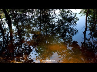 DSC00276_1280.jpg