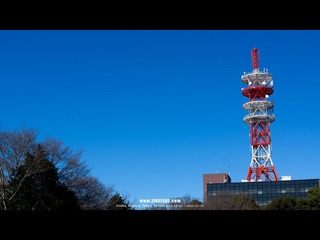 DSC01366_1280.jpg