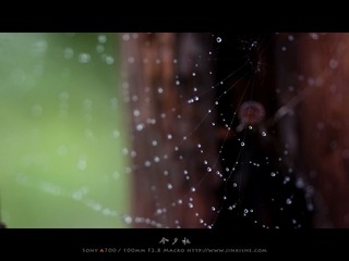 乌镇