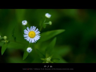 乌镇
