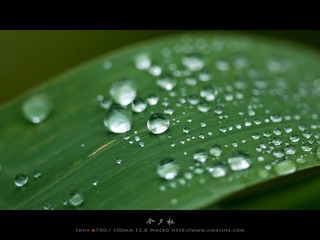 乌镇