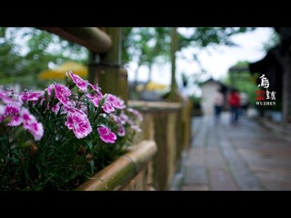 乌镇