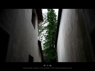乌镇