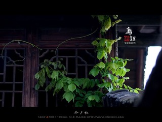 乌镇