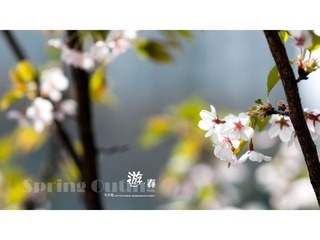 [10.04]天山公园