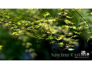 [10.04]天山公园