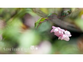 [10.04]天山公园