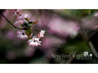[10.04]天山公园