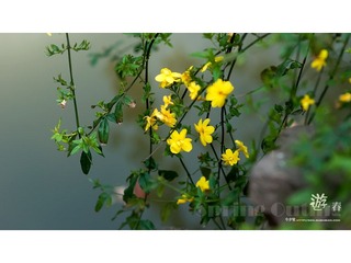 [10.04]天山公园