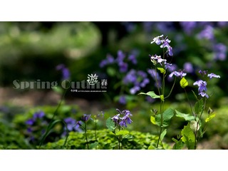 [10.04]天山公园