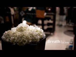 Breath of Spring Night