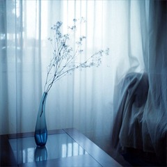 flickr favorites