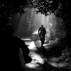 flickr favorites