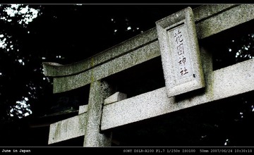 花园神社入口鸟居