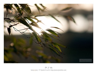 [10.12]大宁公园