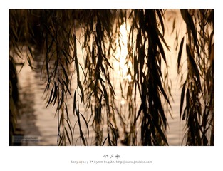[10.12]大宁公园