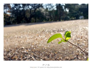 埼玉航空公園撮影会