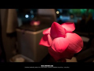SL_MD_0824_0117_1280