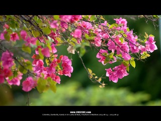 SL_MD_0825_0017_1280