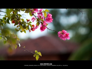 SL_MD_0825_0019_1280