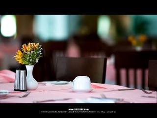 SL_MD_0825_0047_1280