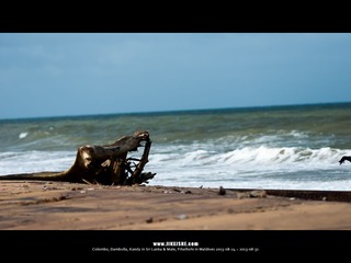 SL_MD_0825_0088_1280