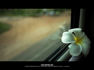 SL_MD_0825_0132_1280