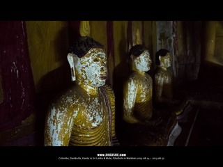 SL_MD_0825_0313_1280
