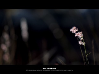 SL_MD_0825_0543_1280