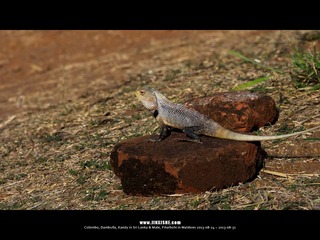 SL_MD_0825_0554_1280