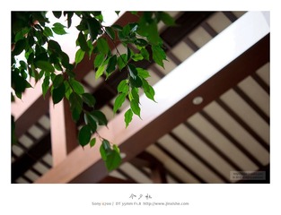 旺山温泉