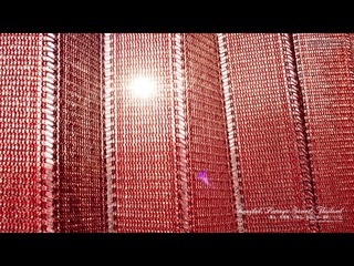 曼谷·芭提雅·沙美岛，泰国之旅
