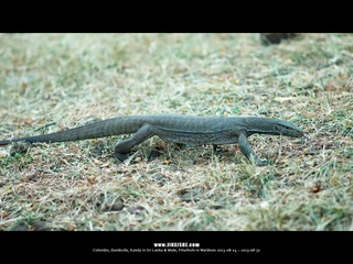 SL_MD_0826_0189_1280