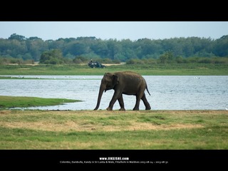 SL_MD_0826_0581_1280