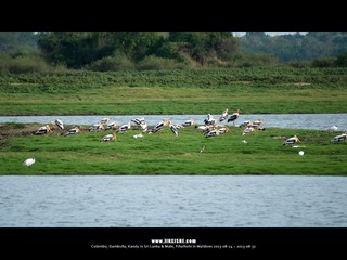 SL_MD_0826_0775_1280