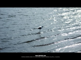 SL_MD_0826_0798_1280