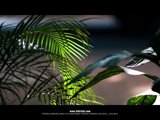 SL_MD_0827_0047_1280