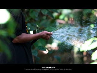 SL_MD_0827_0055_1280