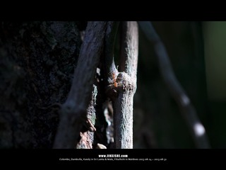 SL_MD_0827_0074_1280
