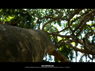 SL_MD_0827_0222_1280