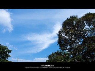 SL_MD_0827_0395_1280