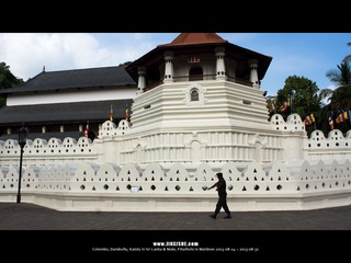 SL_MD_0827_0419_1280