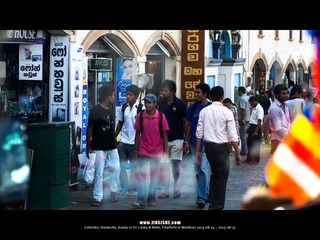 SL_MD_0827_0391_1280
